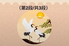 属相鸡的性格与特点，请你多多关照！视频封面