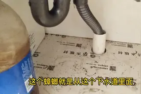 夏天蟑螂活跃，自制杀蟑螂配方，便宜好用高效，试一试吧视频封面