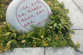 法，是由国家制定或认可的，并由国家强制力保证！视频封面