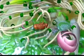 十二生肖总动员 第11集视频封面