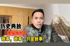 历史典故——狸猫换太子！事就是这个事！你知道我在说啥！你懂！视频封面