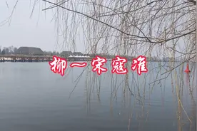 晓带轻烟间杏花，晚凝深翠拂平沙。朗读宋寇准的《柳》视频封面