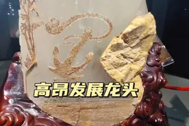 连云港东海县水晶博物馆里有一块晶雕作品是激励连云港高质发展的视频封面