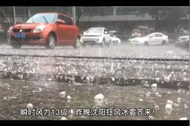瞬时风力13级！“树底下全是车”！昨晚沈阳狂风冰雹齐来！视频封面