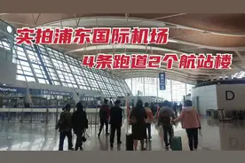 实拍浦东国际机场，4条跑道2个航站楼，进出机场走到腿软视频封面