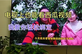 “华数鲜时光”电视也能看西瓜视频，扫码绑定登录就能看，太方便视频封面