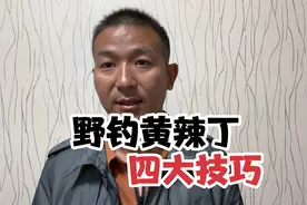 野钓黄辣丁4大技巧，一看就会，老钓鱼人都这样钓，钓一桶很轻松视频封面