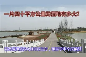东营天鹅湖蓄滞洪工程，一个大湿地横空出世，真乃神速视频封面
