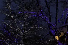 情感夜听《好的夫妻关系是睡出来的》让我们一起来听视频封面
