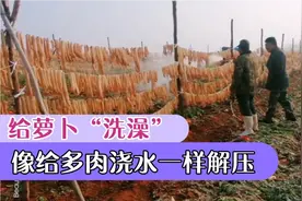 解惑视频！萝卜为什么不清洗就切开晾晒？看完后就明白啦！视频封面