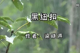 梁晓声:黑纽扣，是谁让小姨一生凄凉（四）视频封面