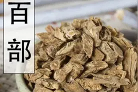 百部有润肺下气滋润肺脏使上冲的肺气下降止咳，杀虫灭虱的功效！视频封面