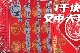 中大奖1000块   哈哈视频封面