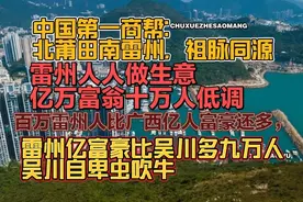天下第一商帮：低调雷州人十万亿万富翁，比自卑吹牛吴川多九万九视频封面