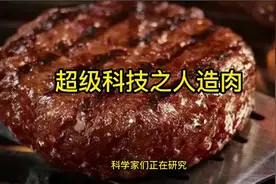 超级科技之人造肉视频封面