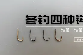 四种冬钓常用钩型横向对比，用伊豆不丢人，海夕原来大那么多视频封面