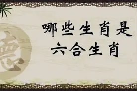 哪些生肖是六合生肖你需要了解一下，对你的婚姻交友有很大的关系视频封面