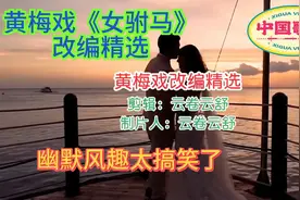 中国国粹黄梅戏《女驸马》改编精选幽默风趣太搞笑了都来听听吧！视频封面