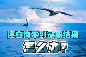 已经投档了，录取结果还查询不到，该怎么办？老师给你支招视频封面