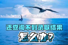 已经投档了，录取结果还查询不到，该怎么办？老师给你支招视频封面