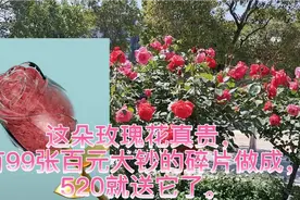 这朵玫瑰花真贵，有99张百元大钞的碎片做成，520就送它了。视频封面