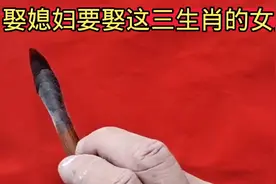 娶媳妇一定要娶这三个生肖的女人，温柔贤惠孝顺视频封面