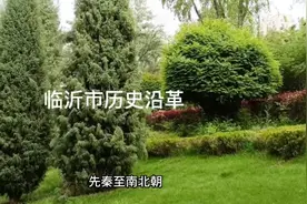 山东省临沂市历史沿革