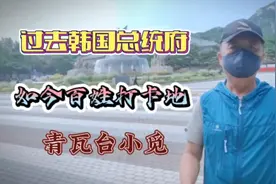 青瓦台对外开放了，咱也到里面转一圈，看看是啥感觉。视频封面