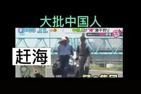 中国人在日本赶海~四年前就火了~捡的生蚝卖给中华料理店视频封面