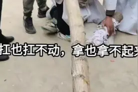 农村老人孝子用的这哭丧棒历害不历害。视频封面