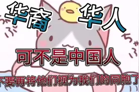 华裔华人可不是中国人，不要再将他们是为我们的同胞了视频封面