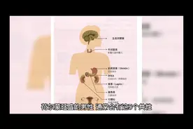荷尔蒙”旺盛的男性，通常会有这5个共性视频封面