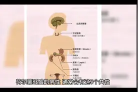 荷尔蒙”旺盛的男性，通常会有这5个共性视频封面