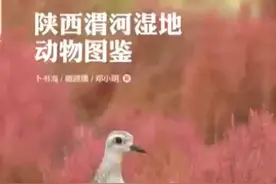 《陕西渭河动物图鉴》出版了视频封面