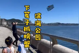 大连开发区『滨海公园』下笼子抓螃蟹|一个我闺女一个我兄弟视频封面