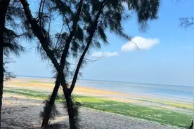 北京夫妻自驾粤西D3: 这个无人小岛满足了我对大海沙滩的所有想像视频封面