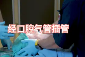 经口腔气管插管过程演示，全麻必备！视频封面
