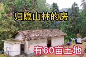一个归隐山林的地方，拥有60亩土地两栋房，可任选一处过田园生活视频封面