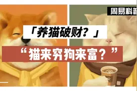 为什么说猫来穷狗来富？养猫真的破财吗？#铲屎官 #毛孩子 #狗狗