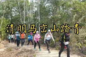 带着一群美女，马峦山寻野，收获大量青梅、蕨菜和部分艾叶、竹笋视频封面