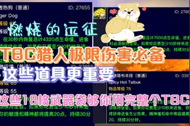 魔兽世界TBC怀旧服：猎人下本必备道具以及18格武器袋获取方法视频封面