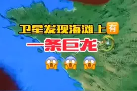 卫星地图拍到海滩上一条巨型“龙”不知道有多重？视频封面