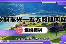 乡村振兴五大核心内容之组织振兴，关注农业新机遇新未来视频封面