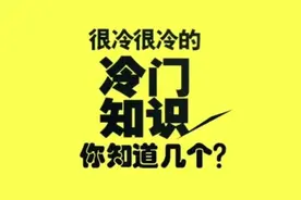 男女有趣的生理差异。视频封面