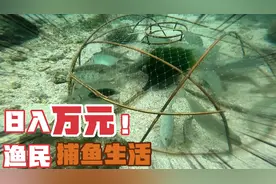 用竹子做的捕鱼小鱼笼，竟然能在海里捕鱼，而且能捕到很多鱼视频封面