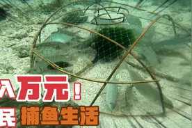 用竹子做的捕鱼小鱼笼，竟然能在海里捕鱼，而且能捕到很多鱼视频封面
