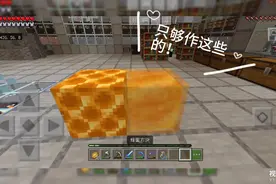 我的世界131：制作了一个蜂蜜块和蜜脾块，感觉没啥大用。