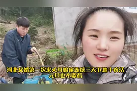 河北女婿第一次来丈母娘家刚到就连续三天下地干农活 中国好女婿视频封面