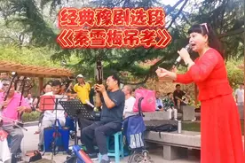 老艺术家西安公园表演豫剧《秦雪梅吊孝》，唱哭了观众，真感人！视频封面