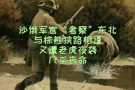 沙俄军官“考察”东北，与棕熊狭路相逢，又遭老虎夜袭，几乎丧命视频封面